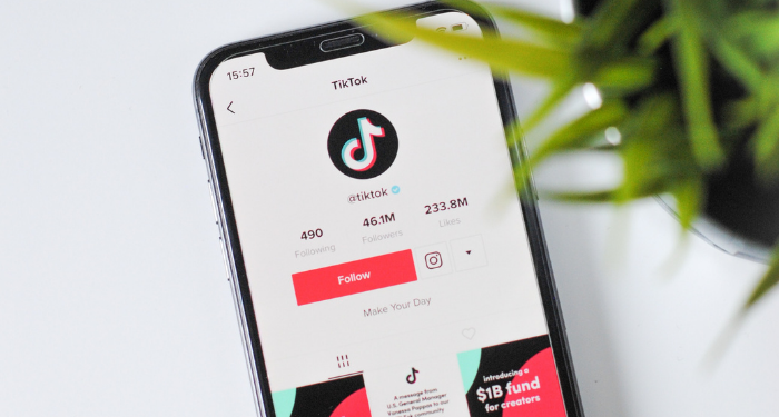 como ganhar dinheiro usando tiktok